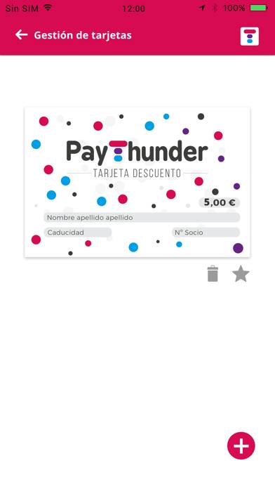 PayThunder App screenshot #4