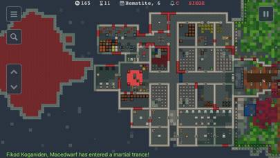 Dwarf Fortress Remote Schermata dell'app #1