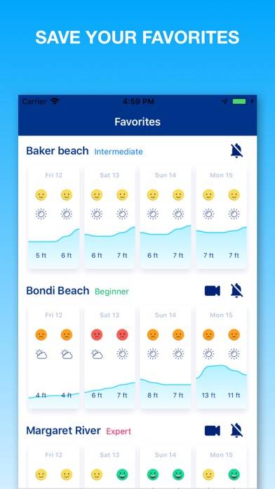 Weesurf, wave & wind forecast App screenshot #3