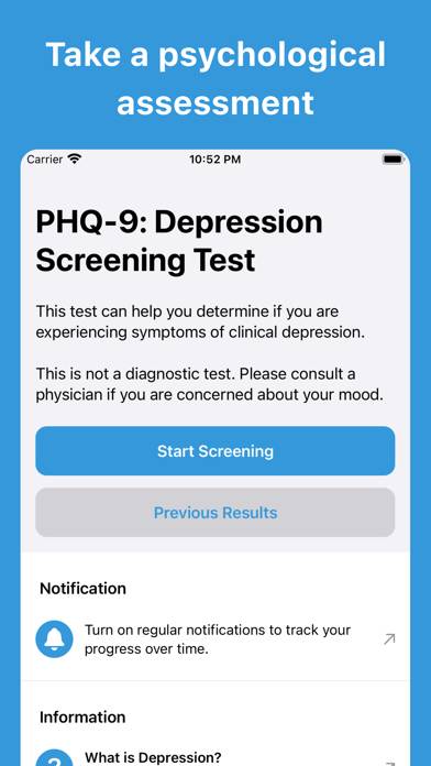 Depression Test⁺ App screenshot #1