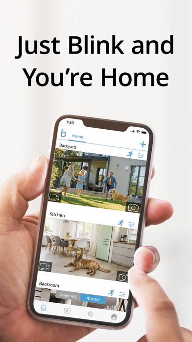 Blink Home Monitor App-Screenshot #1