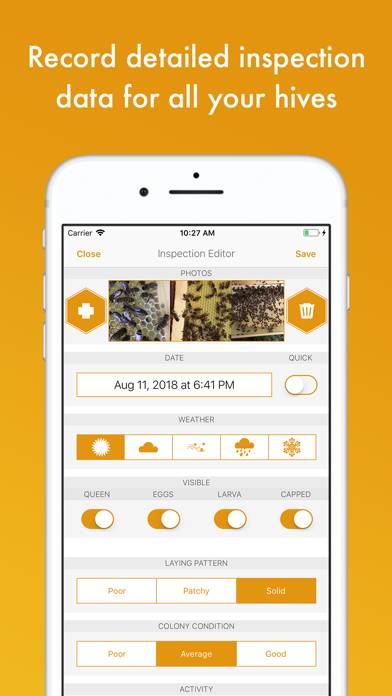 BeePlus Beekeeping Manager Captura de pantalla de la aplicación #2