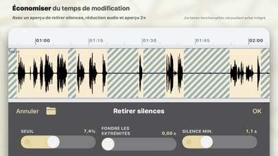 Ferrite Capture d'écran de l'application