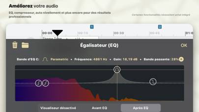 Ferrite Capture d'écran de l'application