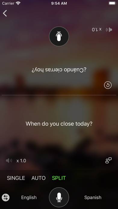 Microsoft Translator Capture d'écran de l'application #4