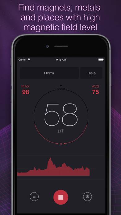 Magnetometer App-Screenshot #1