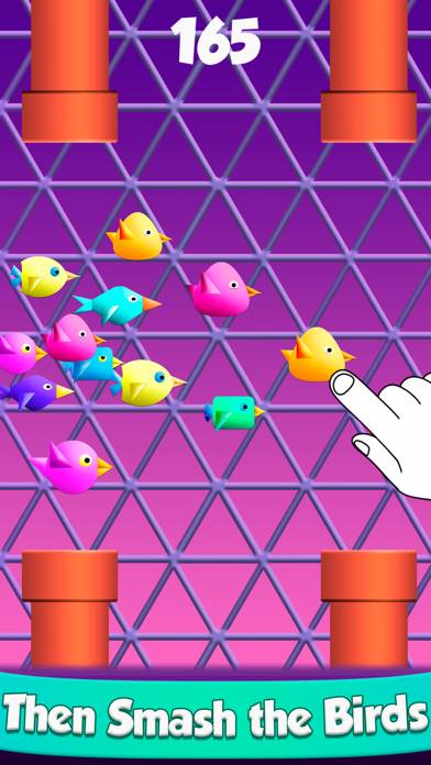 Cool Birds Game - Fun Smash screenshot