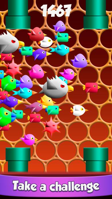 Cool Birds Game App screenshot #6