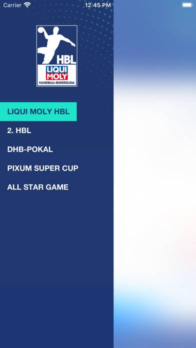 LIQUI MOLY Handball-Bundesliga App screenshot #2
