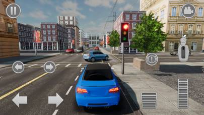City Car Driving App skärmdump #1