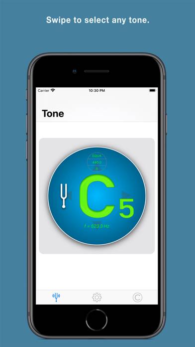 True Tone App skärmdump #2
