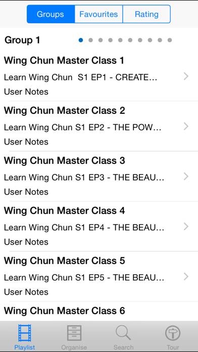 Wing Chun Master Class App-Screenshot #2
