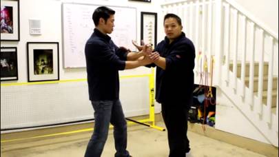Wing Chun Master Class Capture d'écran de l'application #3