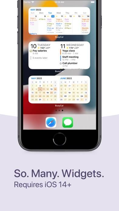 BusyCal: Calendar & Tasks Captura de pantalla de la aplicación #6