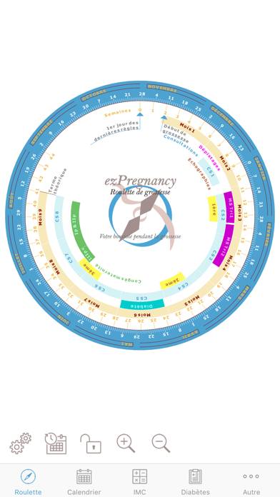 ezPregnancy