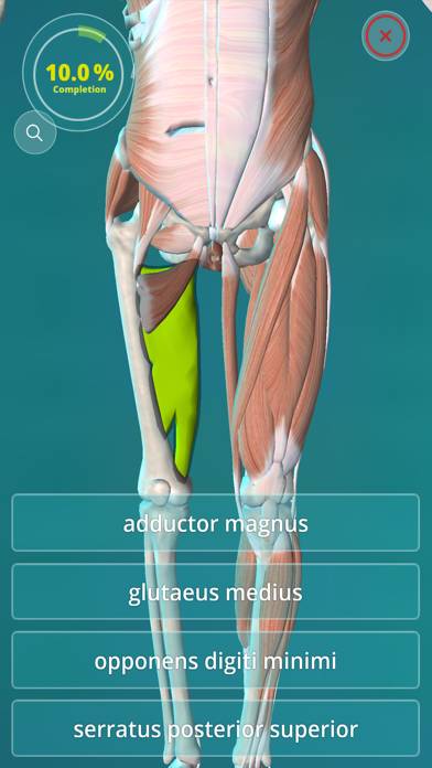 Anatomy Quiz App skärmdump