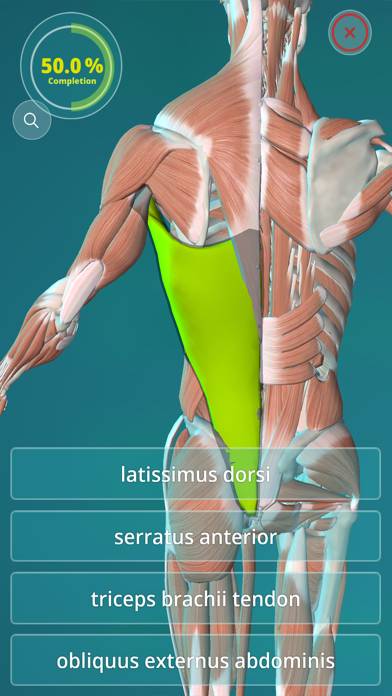 Anatomy Quiz App skärmdump #3