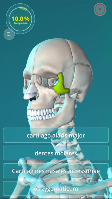 Anatomy Quiz App skärmdump