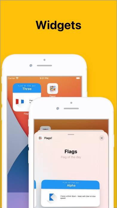 Flags! Captura de pantalla de la aplicación #5
