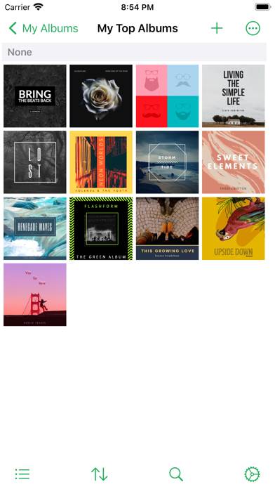 MusicBuddy Pro: Vinyls & CDs Captura de pantalla de la aplicación #6