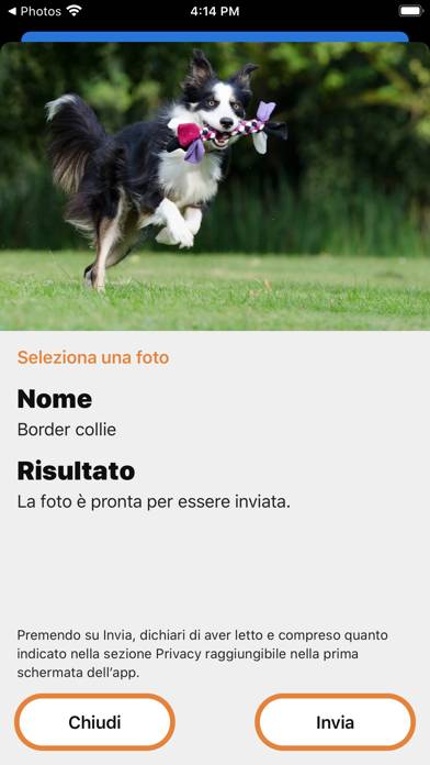 Enciclopedia Canina Schermata dell'app #3