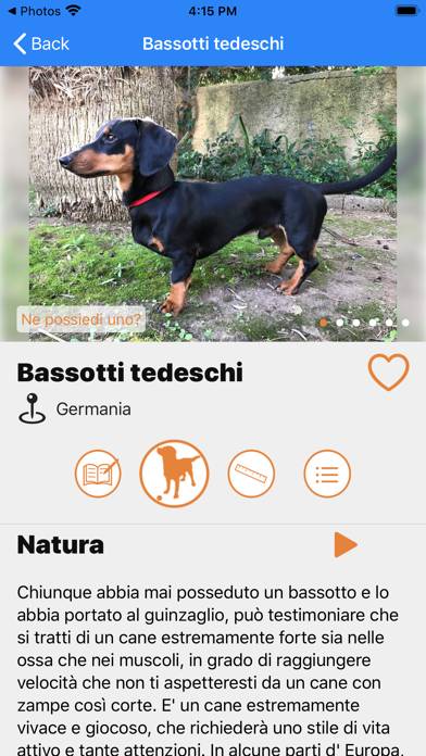 Enciclopedia Canina Schermata dell'app #4