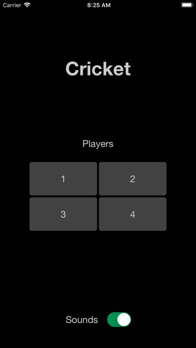 Cricket Darts Scoreboard App screenshot #2