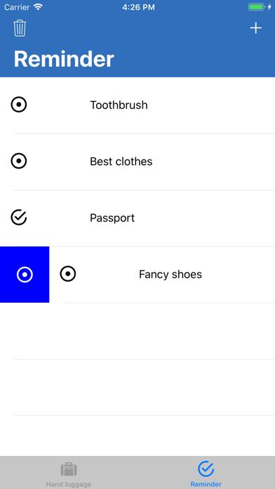 Hand luggage App screenshot #3