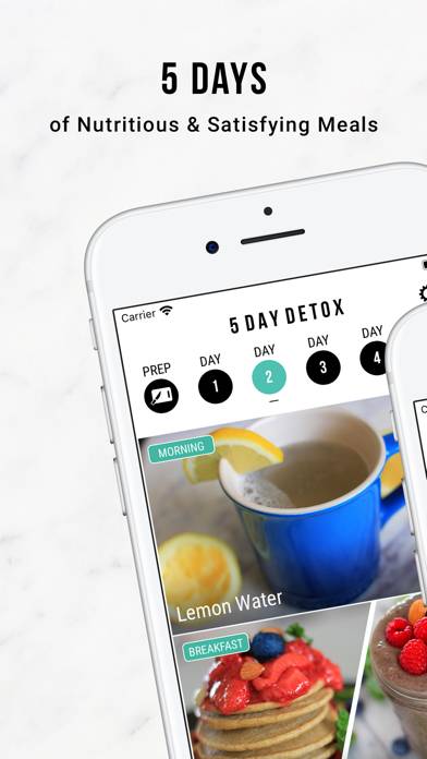 5 Day Detox by Nikki Sharp App screenshot #2