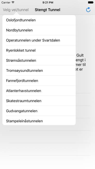 Stengt Tunnel App screenshot #2