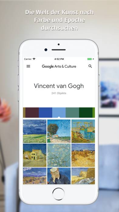Google Arts & Culture Captura de pantalla de la aplicación