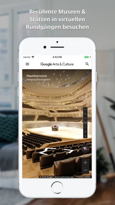 Google Arts & Culture Captura de pantalla de la aplicación