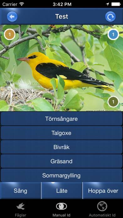 Fågelsång Id App screenshot #4