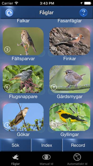Fågelsång Id App screenshot