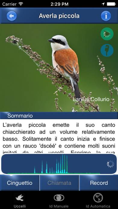Canzoni d'uccelli Schermata dell'app #2
