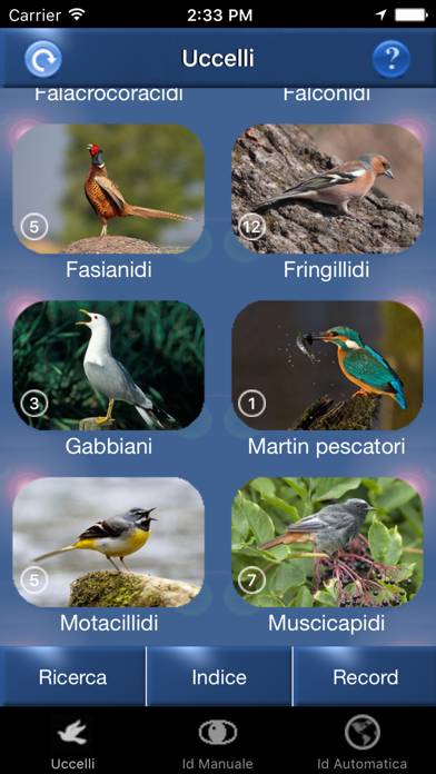 Canzoni d'uccelli Schermata dell'app #3