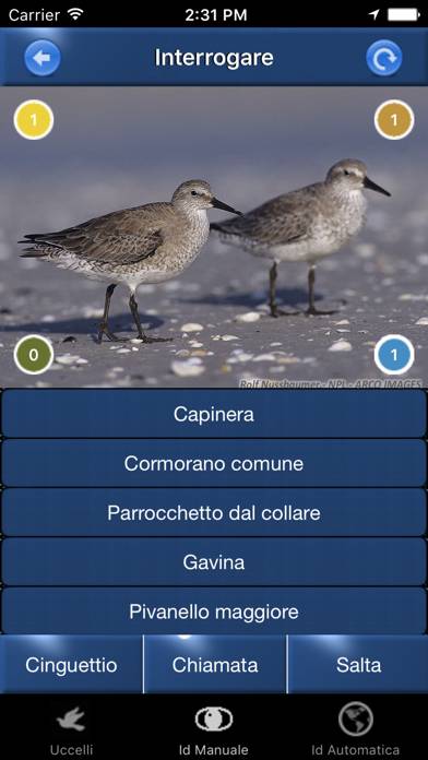 Canzoni d'uccelli App screenshot #5