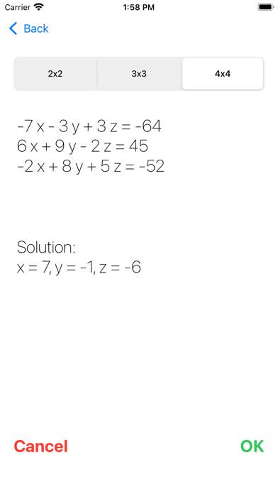 Systems Of Equations Schermata dell'app #2