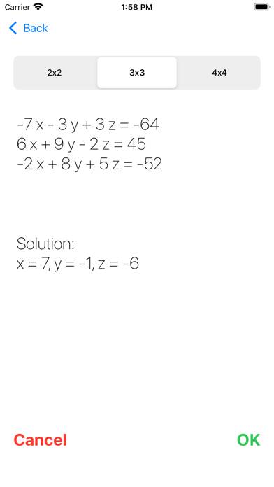 Systems Of Equations Schermata dell'app #3