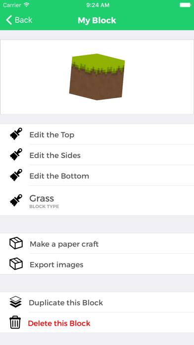 Block Builder for Minecraft App screenshot