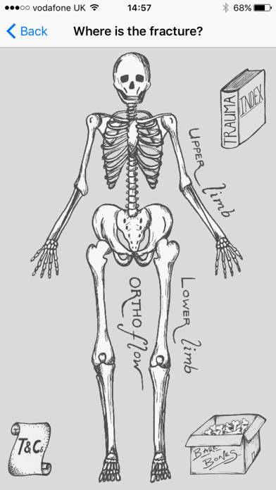 OrthoFlow capture d'écran