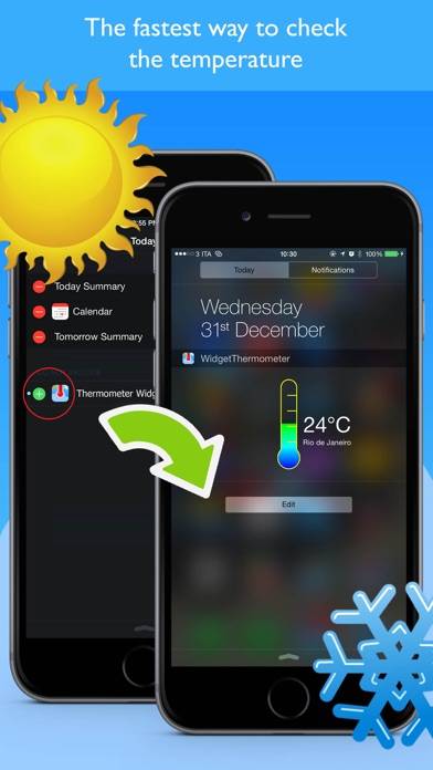Widget Thermometer Simple screenshot