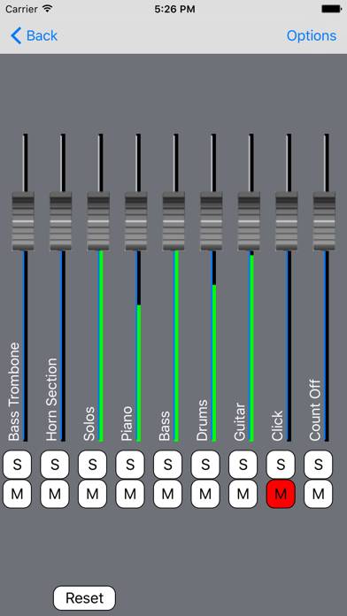 Mintzer Big Band Essentials Capture d'écran de l'application #5
