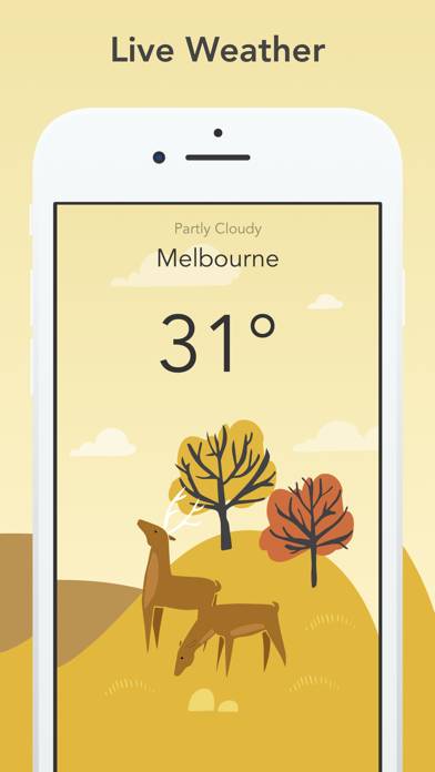 Wild Weather Schermata dell'app #1