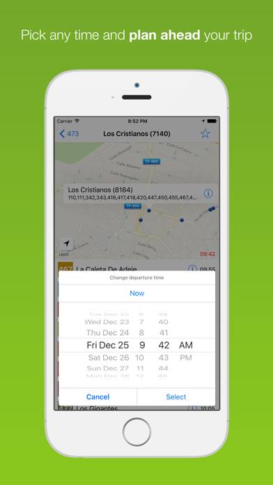 Tenerife Public Transport App skärmdump #5