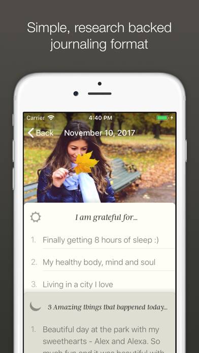 5 Minute Journal: Self-Care Captura de pantalla de la aplicación #1