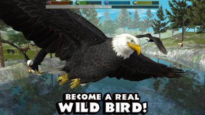 Ultimate Bird Simulator App screenshot #1