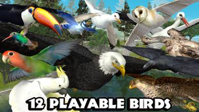 Ultimate Bird Simulator App screenshot #3