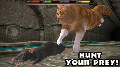Ultimate Cat Simulator App screenshot #2