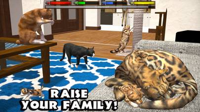 Ultimate Cat Simulator Captura de pantalla de la aplicación #4